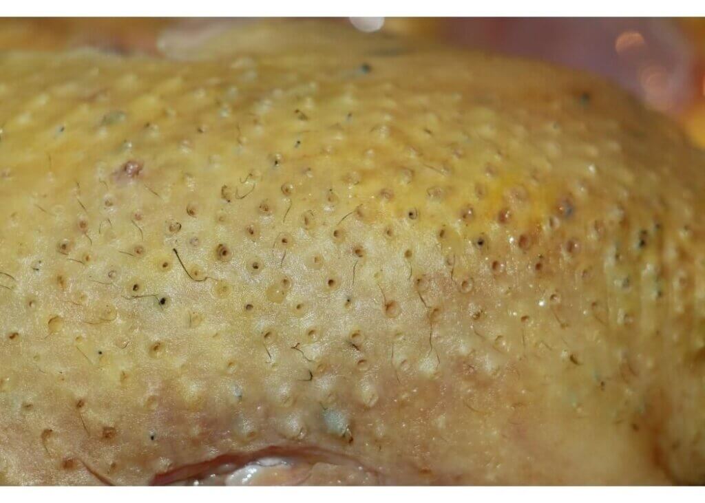 首のポツポツに悩む方へ。ヨクイニン&サリチル酸の2大成分配合の部分用美容液