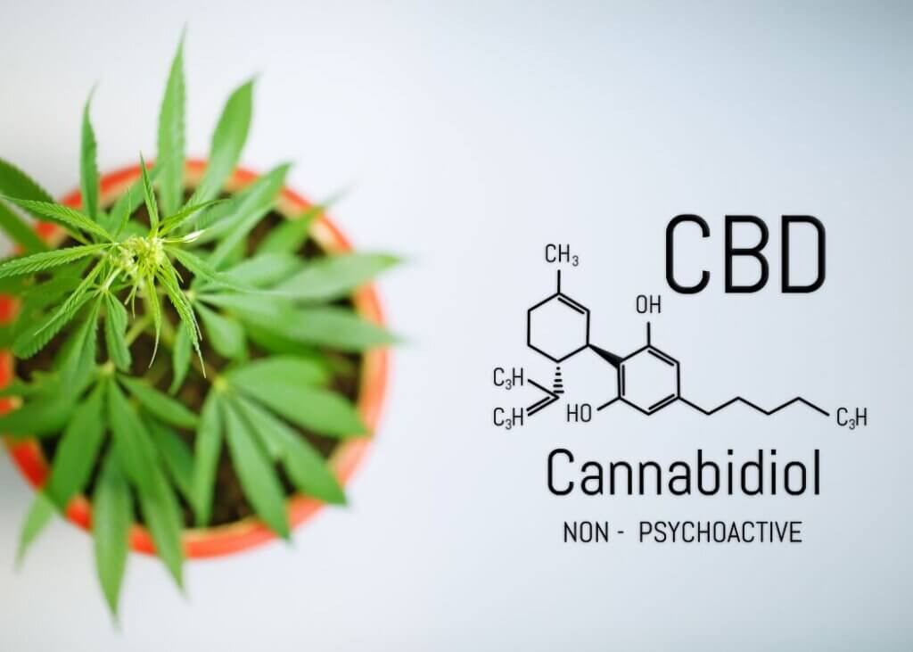 話題のファイトケミカル「CBD」でリラックス上手な人に