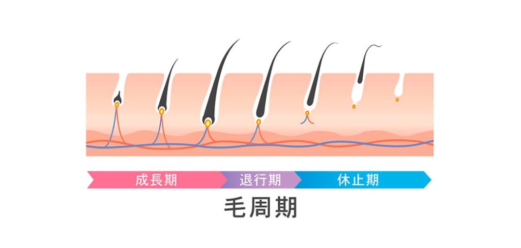 早速始めよう。QOLとエチケットのための40代男性脱毛のすすめ