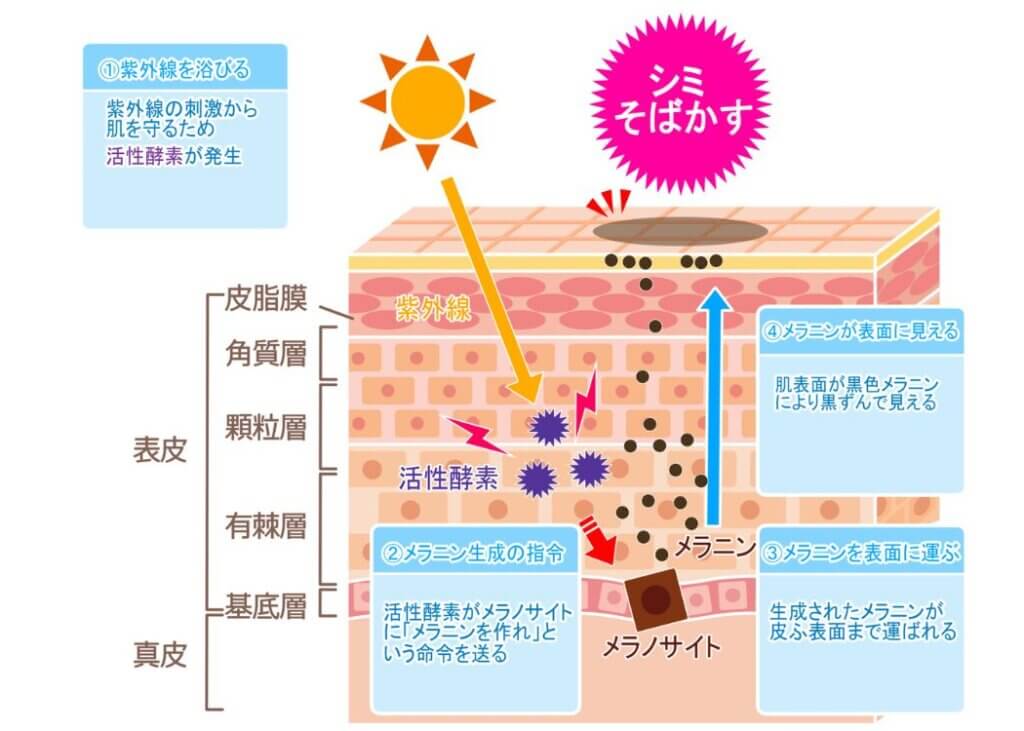 メンズスキンケアこれだけはおさえたい3つのルール