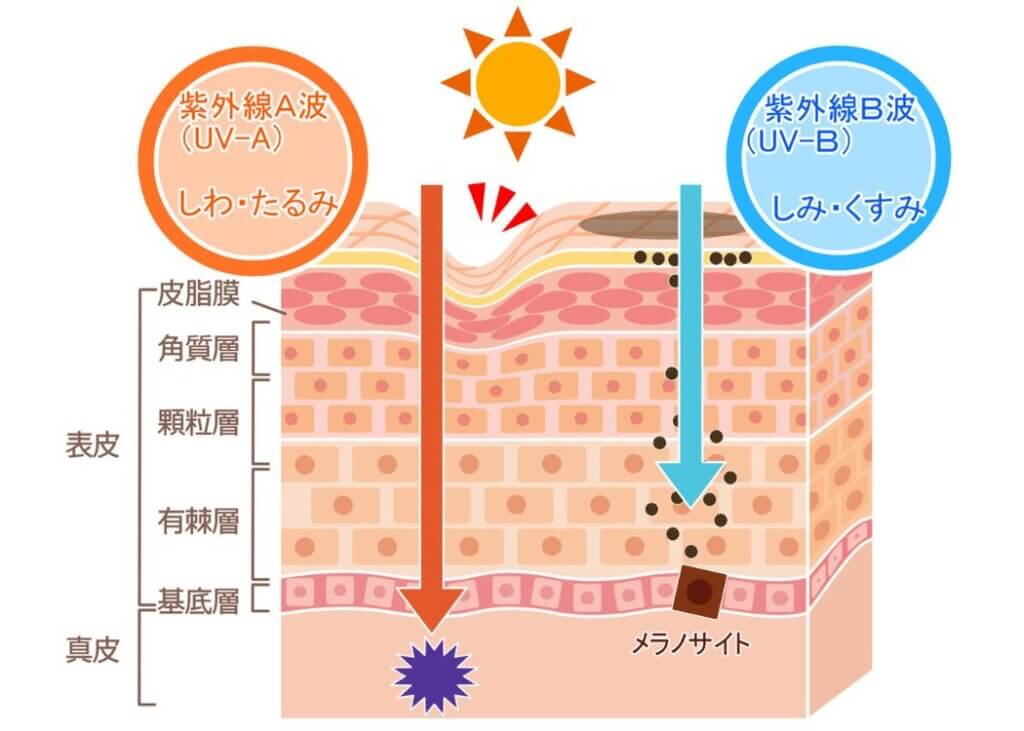 メンズスキンケアこれだけはおさえたい3つのルール