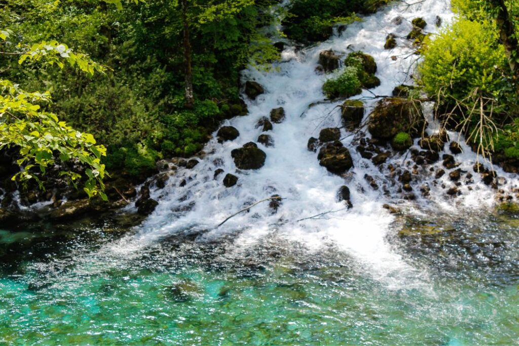 美味しい水はQOLを上げる。お水の種類で選ぶウォーターサーバーおすすめ5選