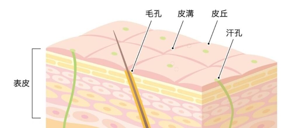40代男性こそハンドケア。薬用メンズハンドクリームおすすめ2選