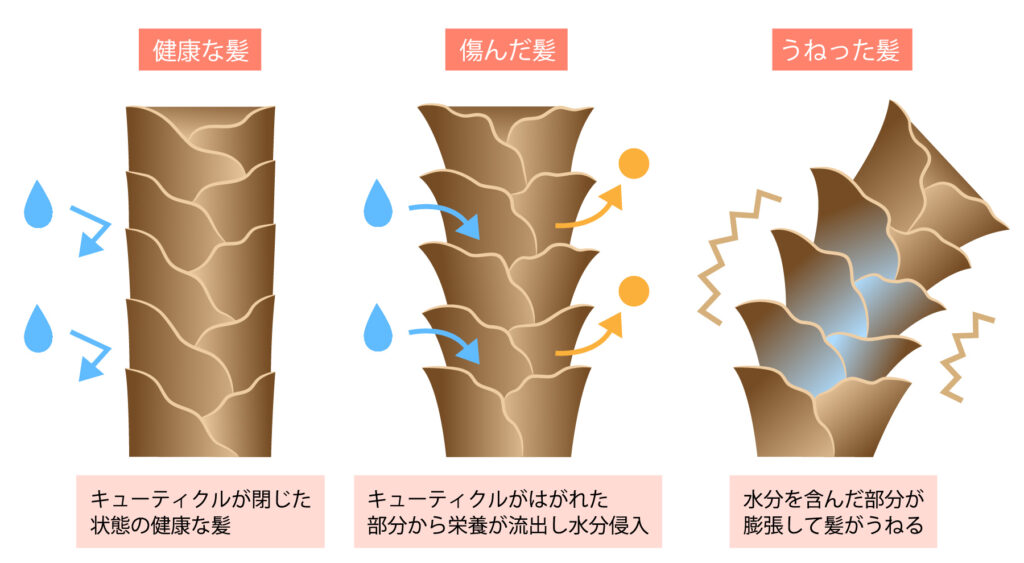 40歳からの若返り(髪質編:白髪,パサつき,うねり改善)