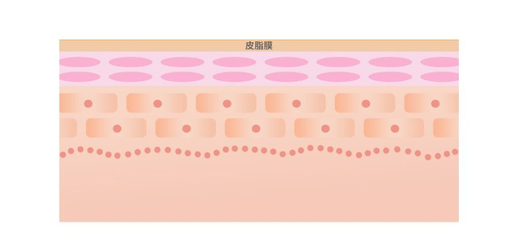 シリコン系ポリマー&異性化糖で長時間保湿を叶える皮膜形成保湿クリーム