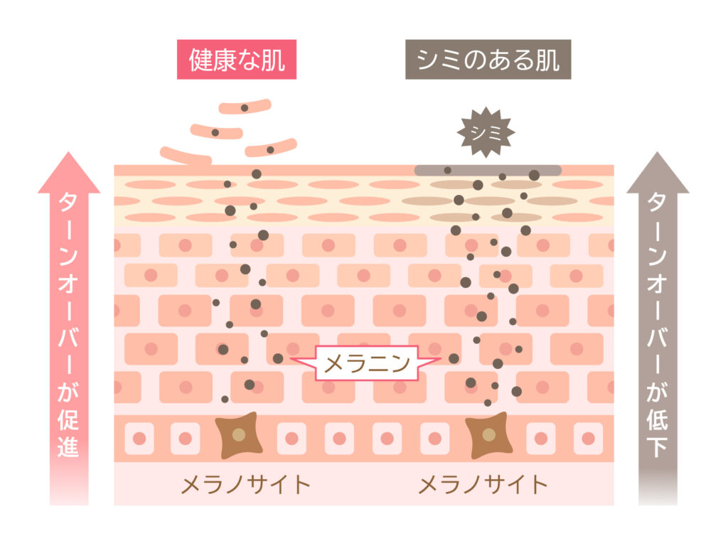 目元の3箇所&3大悩みにワンストップで使えるアイクリーム