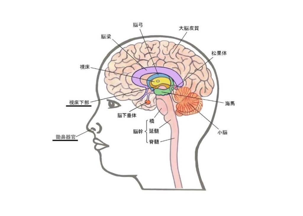 奥手な男性に。新発想の男性フェロモンブースター練り香水