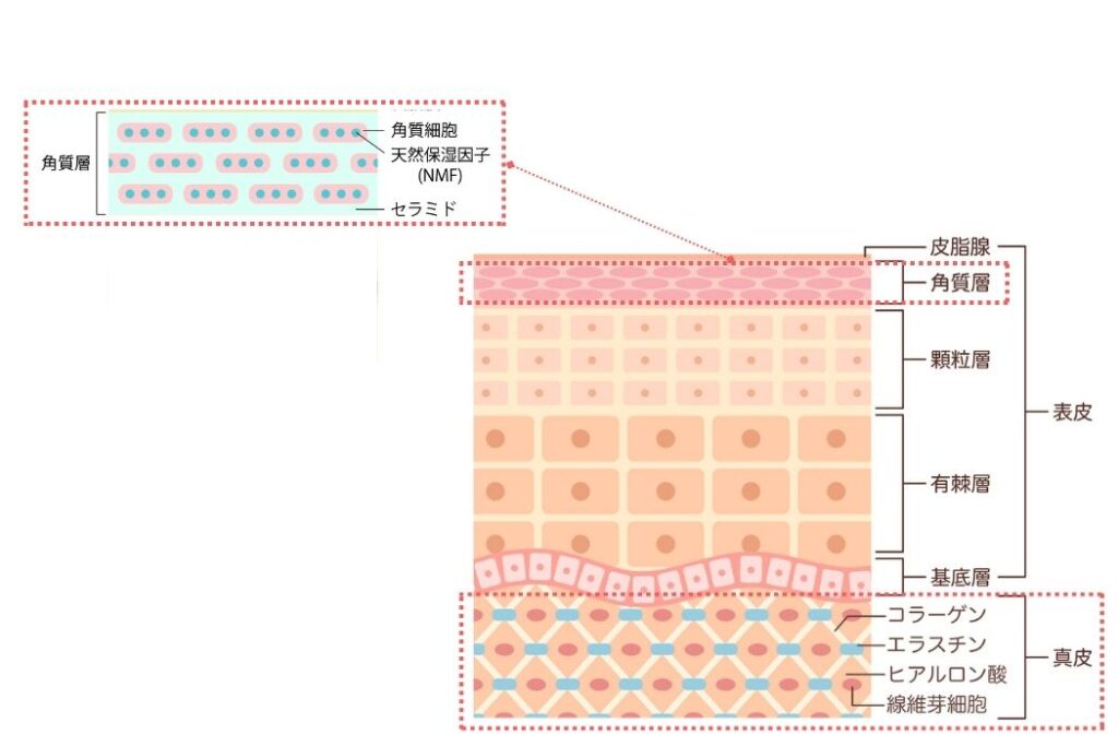 目元の3箇所&3大悩みにワンストップで使えるアイクリーム