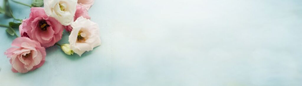 7種類の花色から選べる、新発想"生花×プリザーブドフラワー"のフラワーギフト