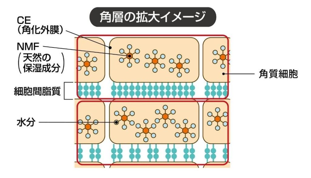 40代・50代のメンズスキンケアこれだけはおさえたい3つのルール