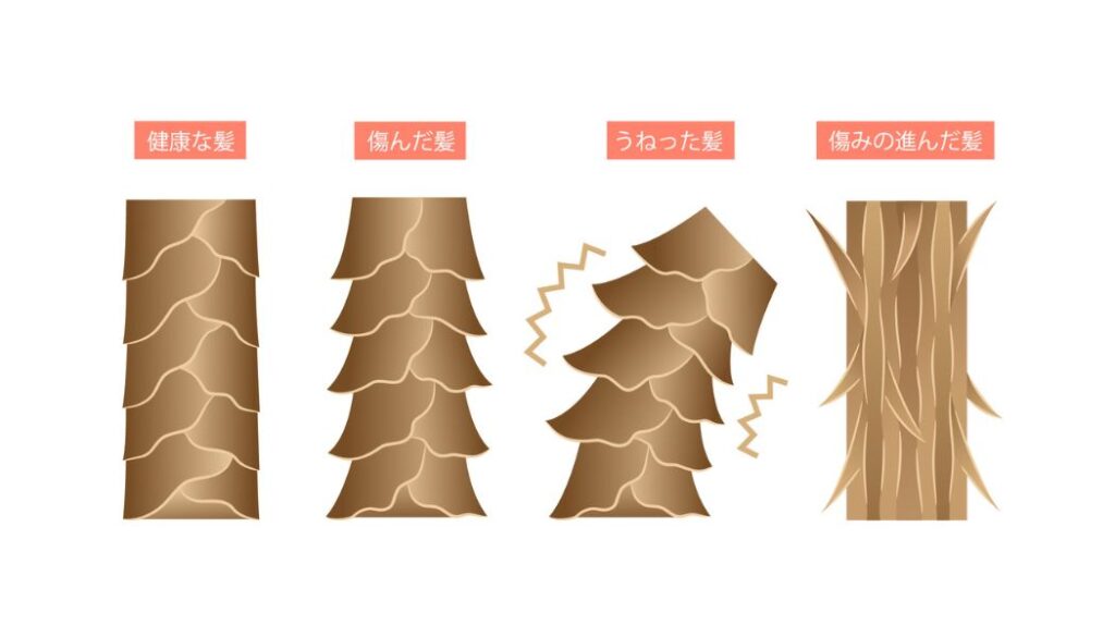 40代の髪と頭皮のエイジングケアに。おすすめエイジングケアシャンプー5選