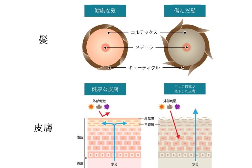ナノファインバブル&塩素除去シャワーヘッドの代表格「ミラブルplus」