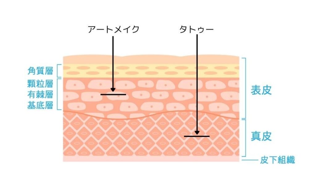 男性にこそすすめたいアートメイクについて解説します